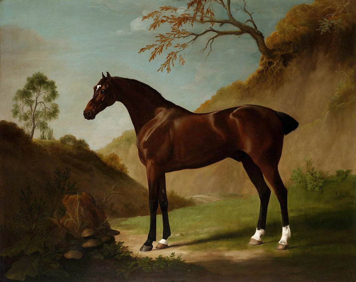 A Dark Bay Thoroughbred in a Landscape by