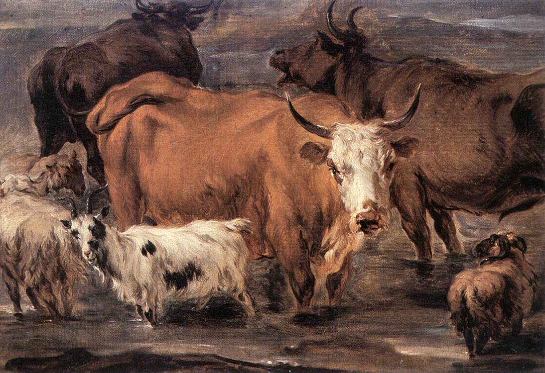 Animal Study by BERCHEM, Nicolaes (Claesz.)