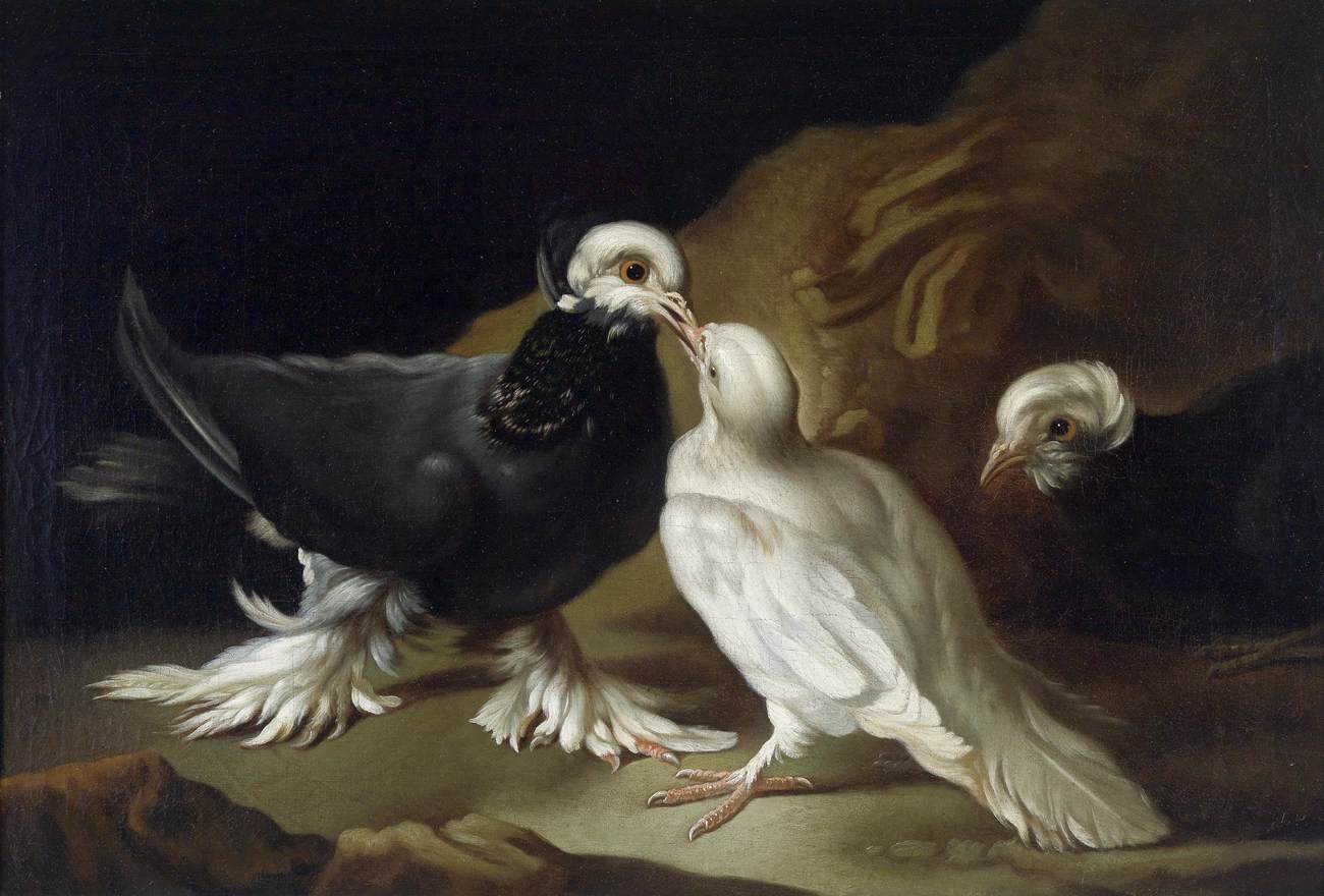 Two Doves by TAMM, Franz Werner von