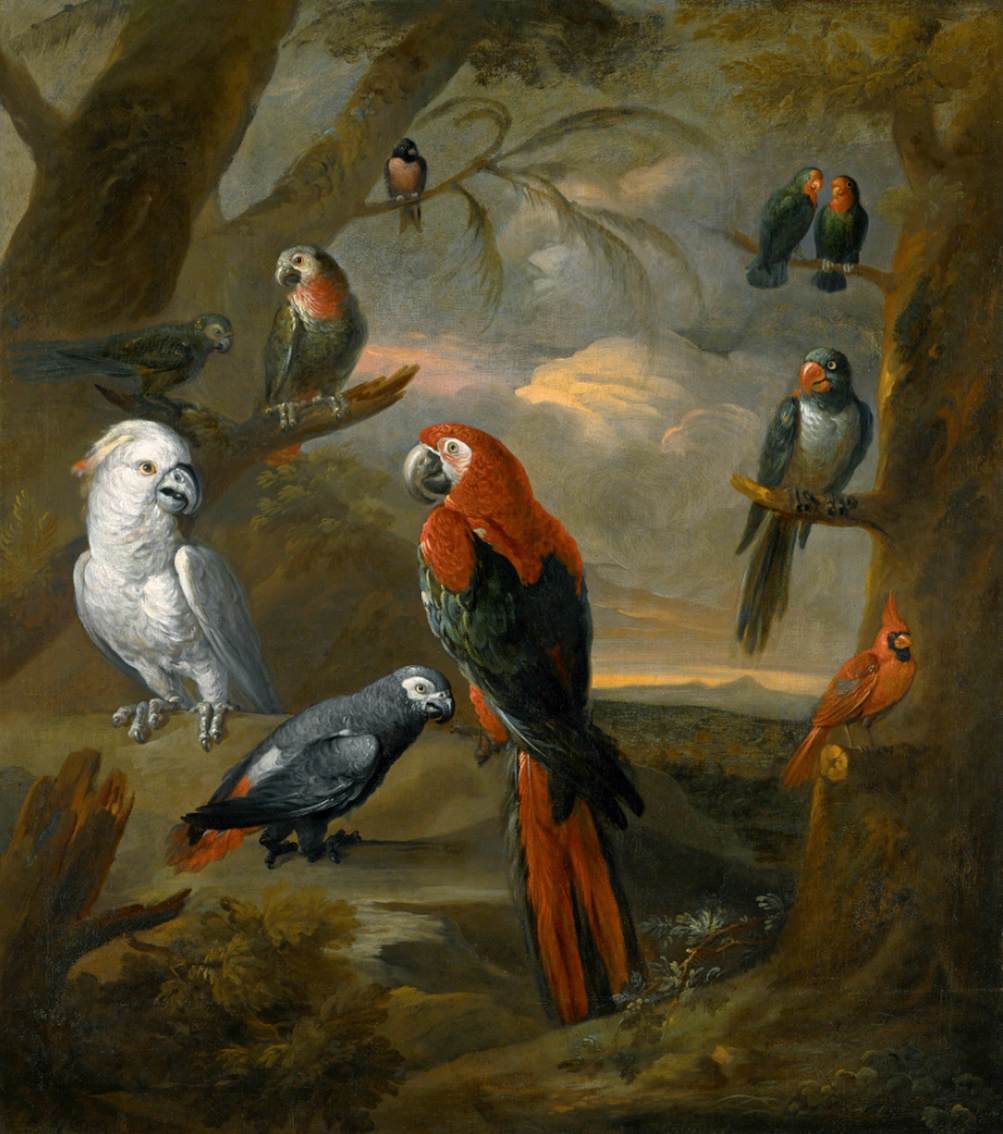 Parrots in an Extensive Woodland Landscape by