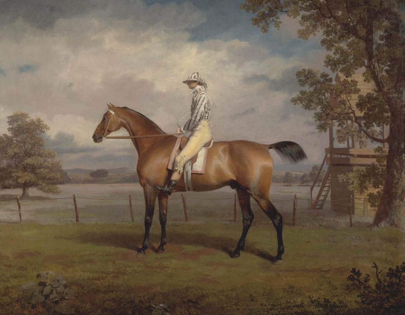 Racehorse with Jockey by GARRARD, George