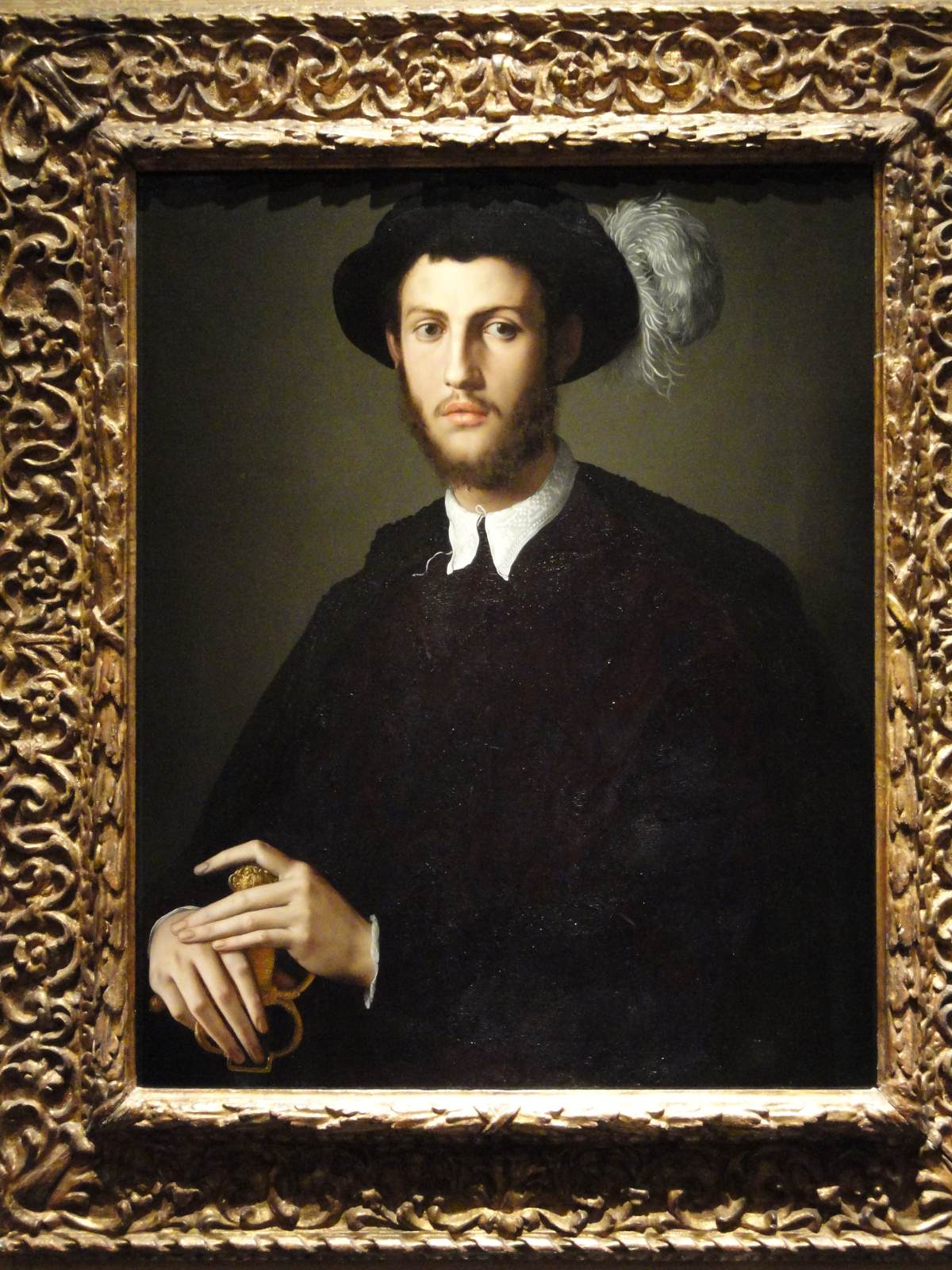 Portrait of a Young Man by BRONZINO, Agnolo