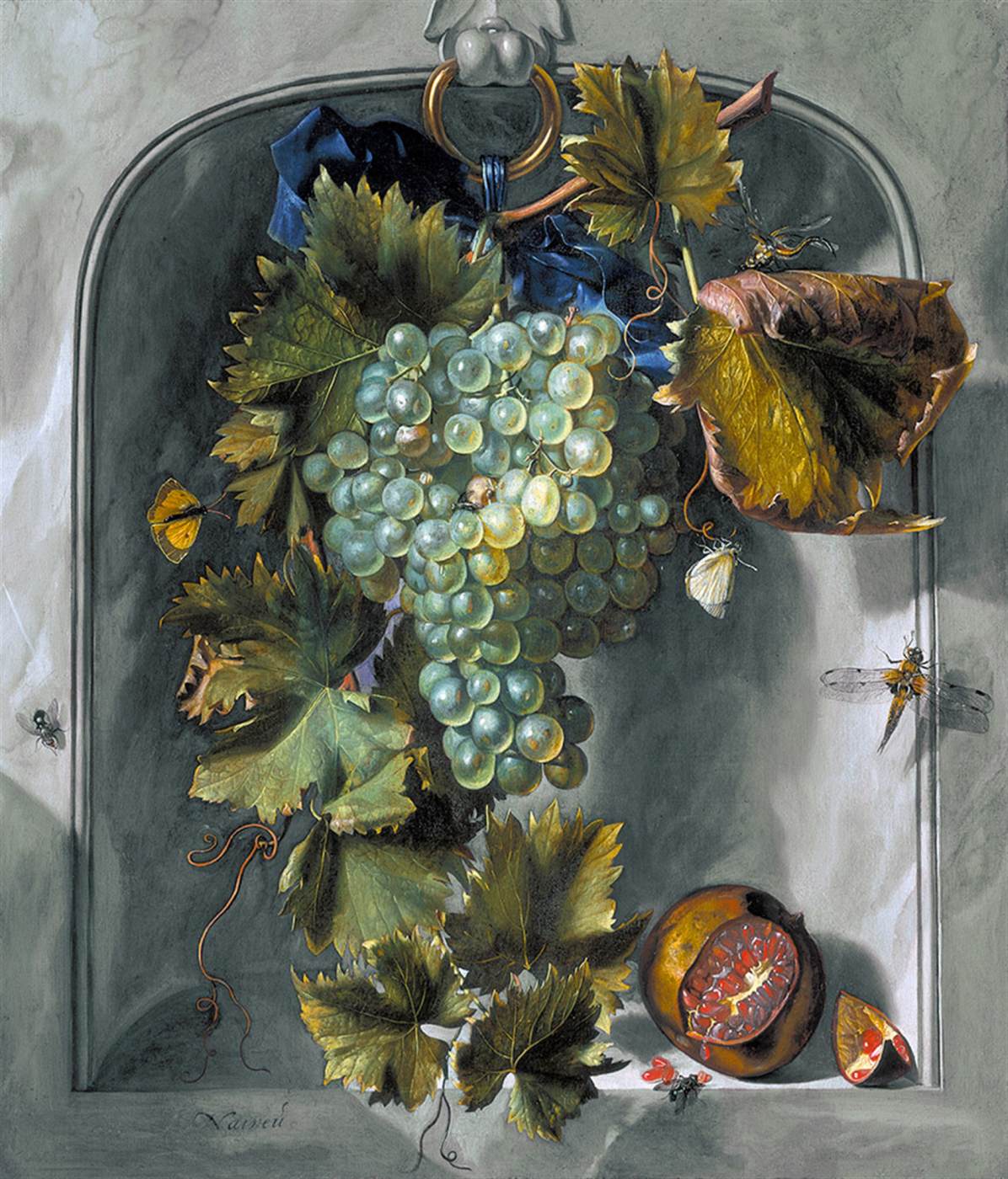 Grapes in a Niche by