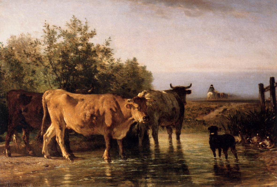 The Ford by TROYON, Constant