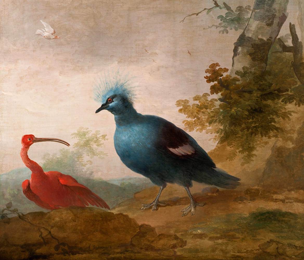 Birds by SCHOUMAN, Aert