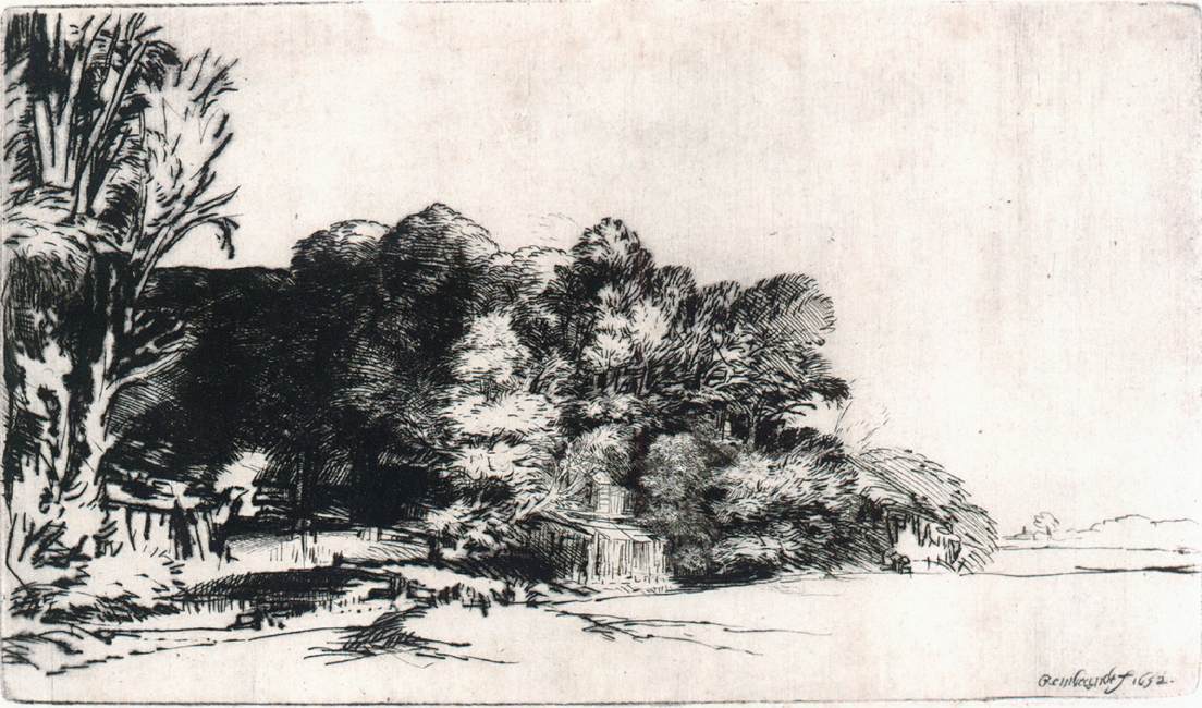 Clump of trees with a vista by REMBRANDT Harmenszoon van Rijn