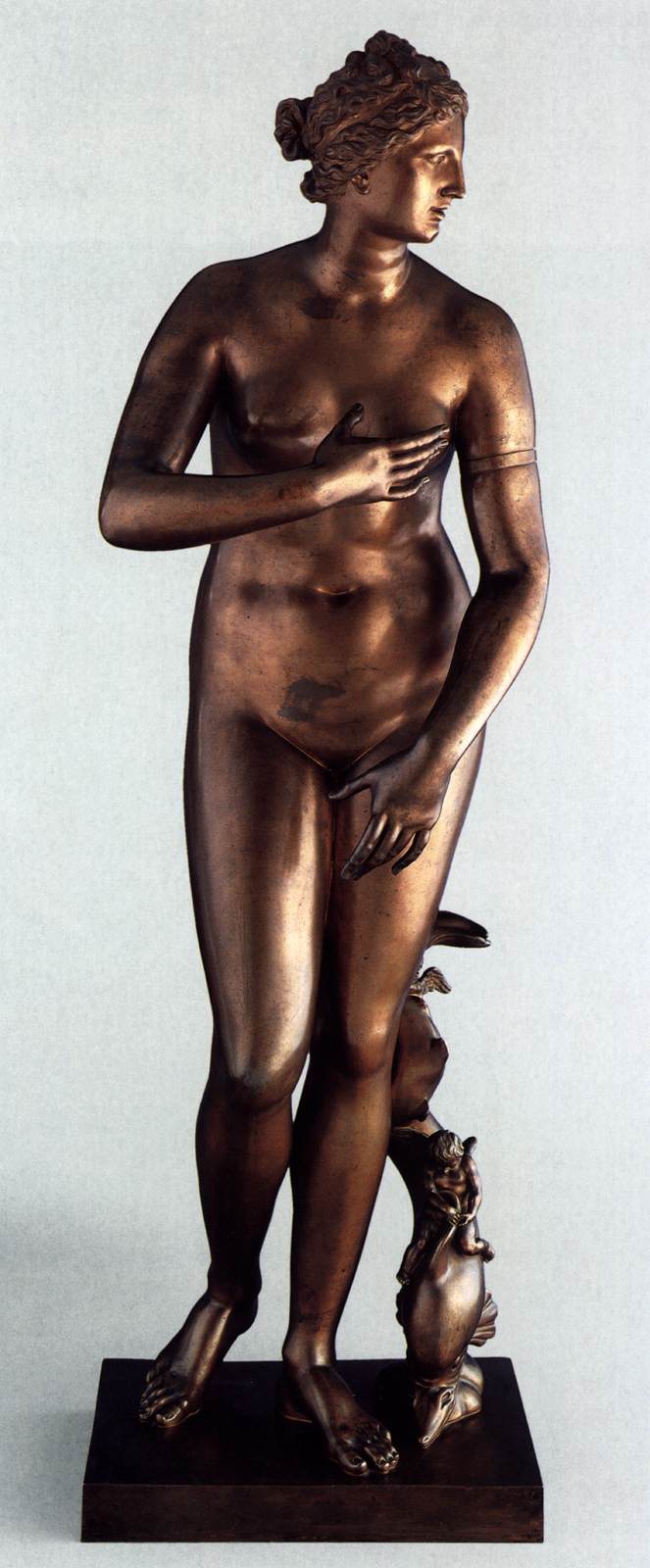 Medici Venus by SOLDANI BENZI, Massimiliano