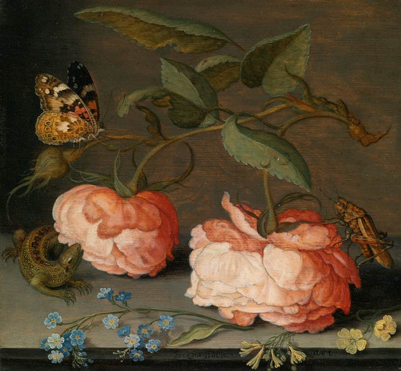 Still-Life by AST, Balthasar van der