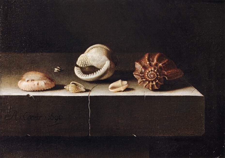 Five Shells on a Slab of Stone by COORTE, Adriaen