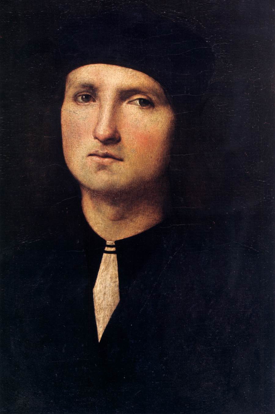 Portrait of a Young Man by