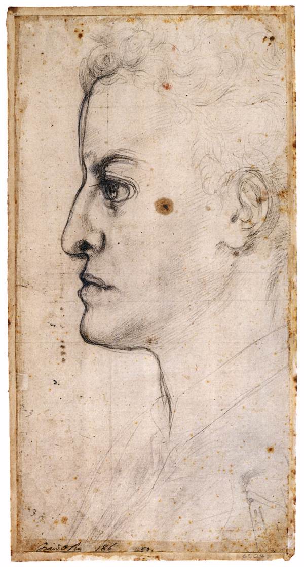 Cosimo I de' Medici in Profile by PONTORMO, Jacopo