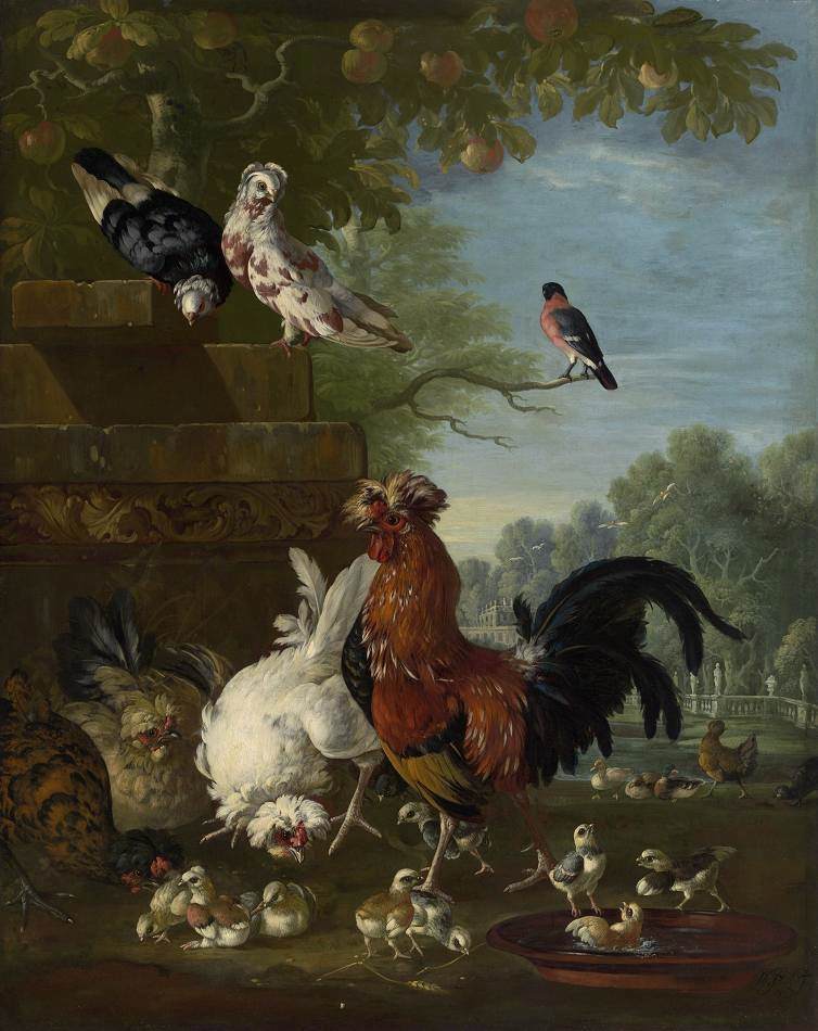 Domestic Birds in Park by CASTEELS, Pieter