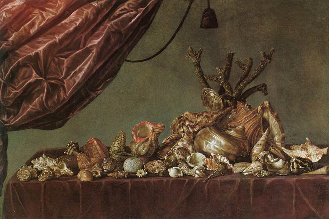 Still-Life with Shells by