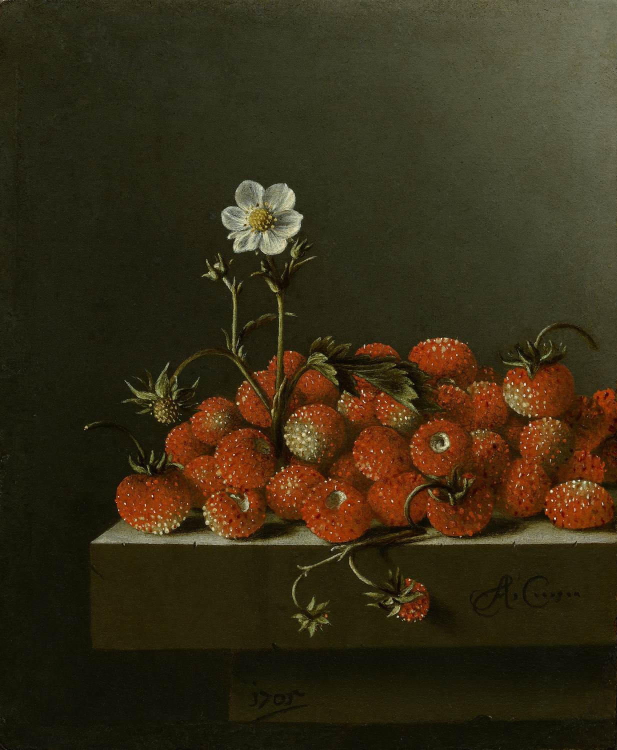 Still-Life with Wild Strawberries by COORTE, Adriaen