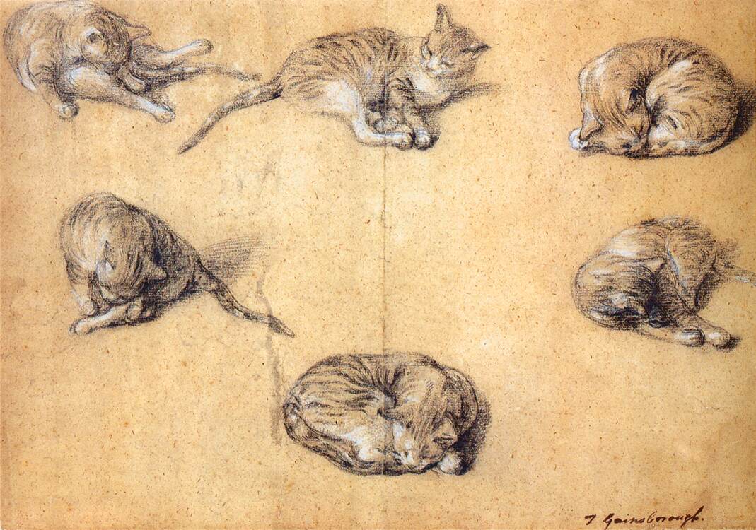 Six studies of a cat by