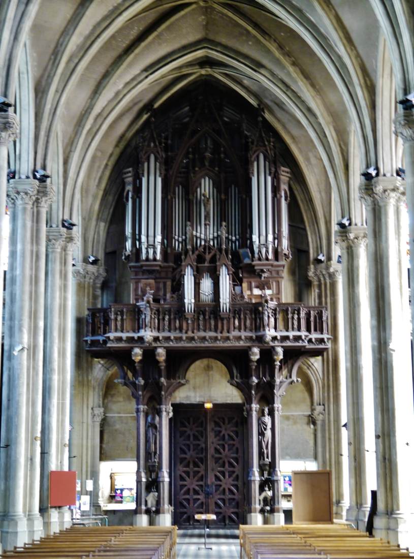 Support of the organ by