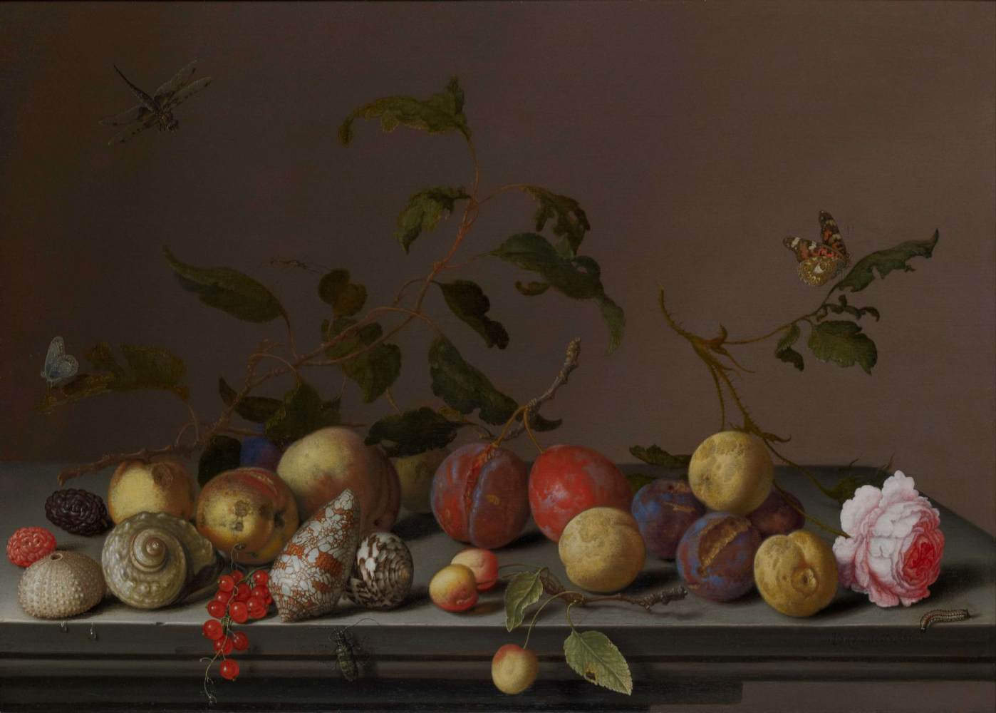 Still-Life by AST, Balthasar van der