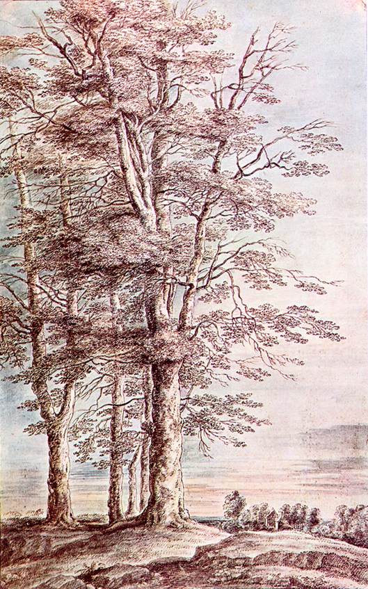 Landscape with Tall Trees by UDEN, Lucas van