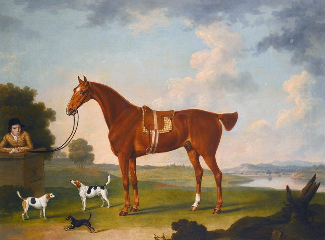 Chestnut Hunter with a Groom by STRINGER, Thomas