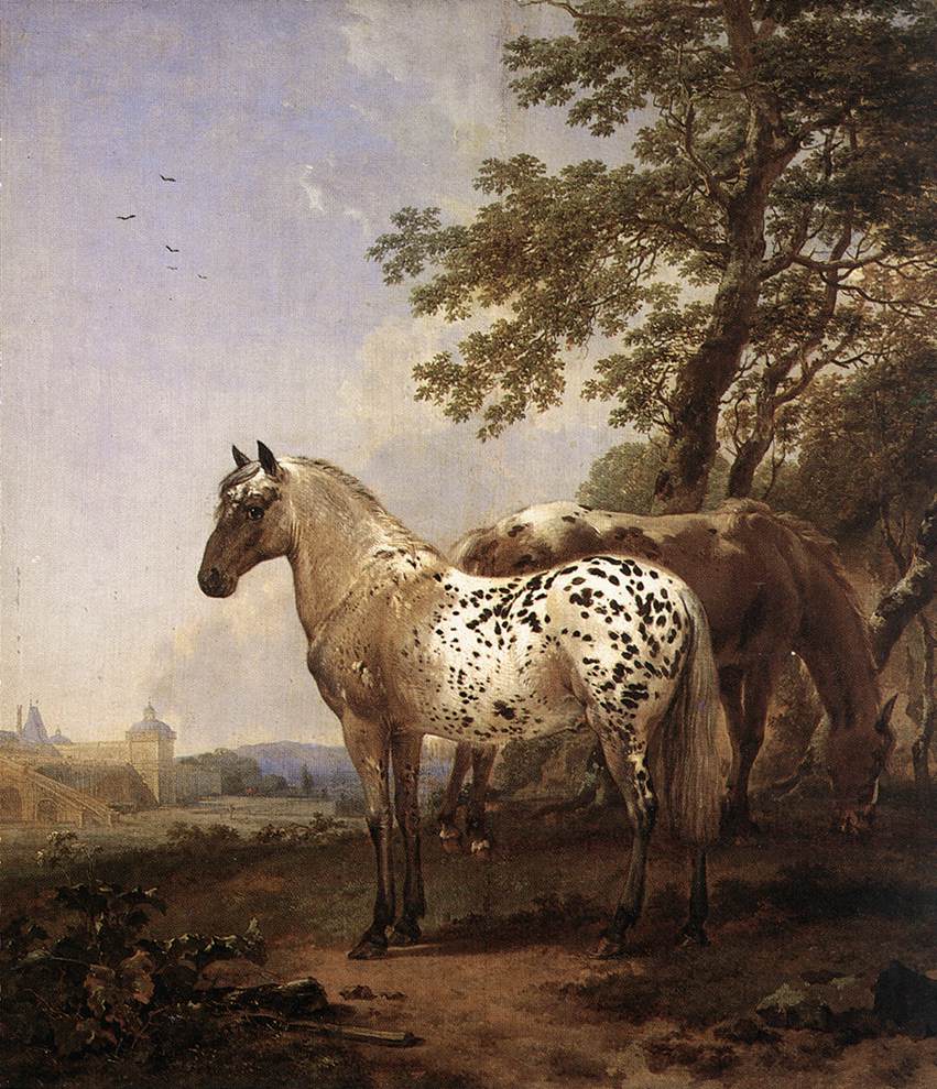 Landscape with Two Horses by BERCHEM, Nicolaes (Claesz.)