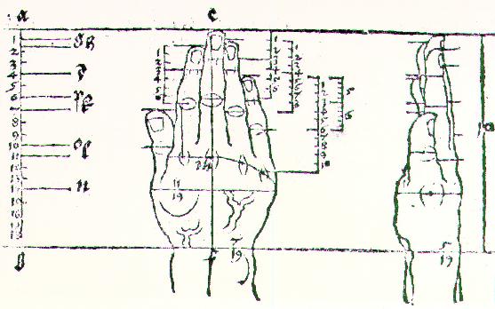 Hand by DÜRER, Albrecht