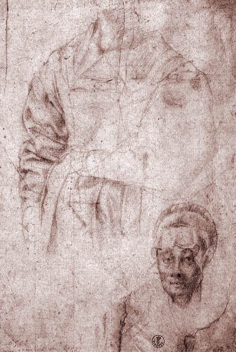 Studies of Maria Salviati by PONTORMO, Jacopo