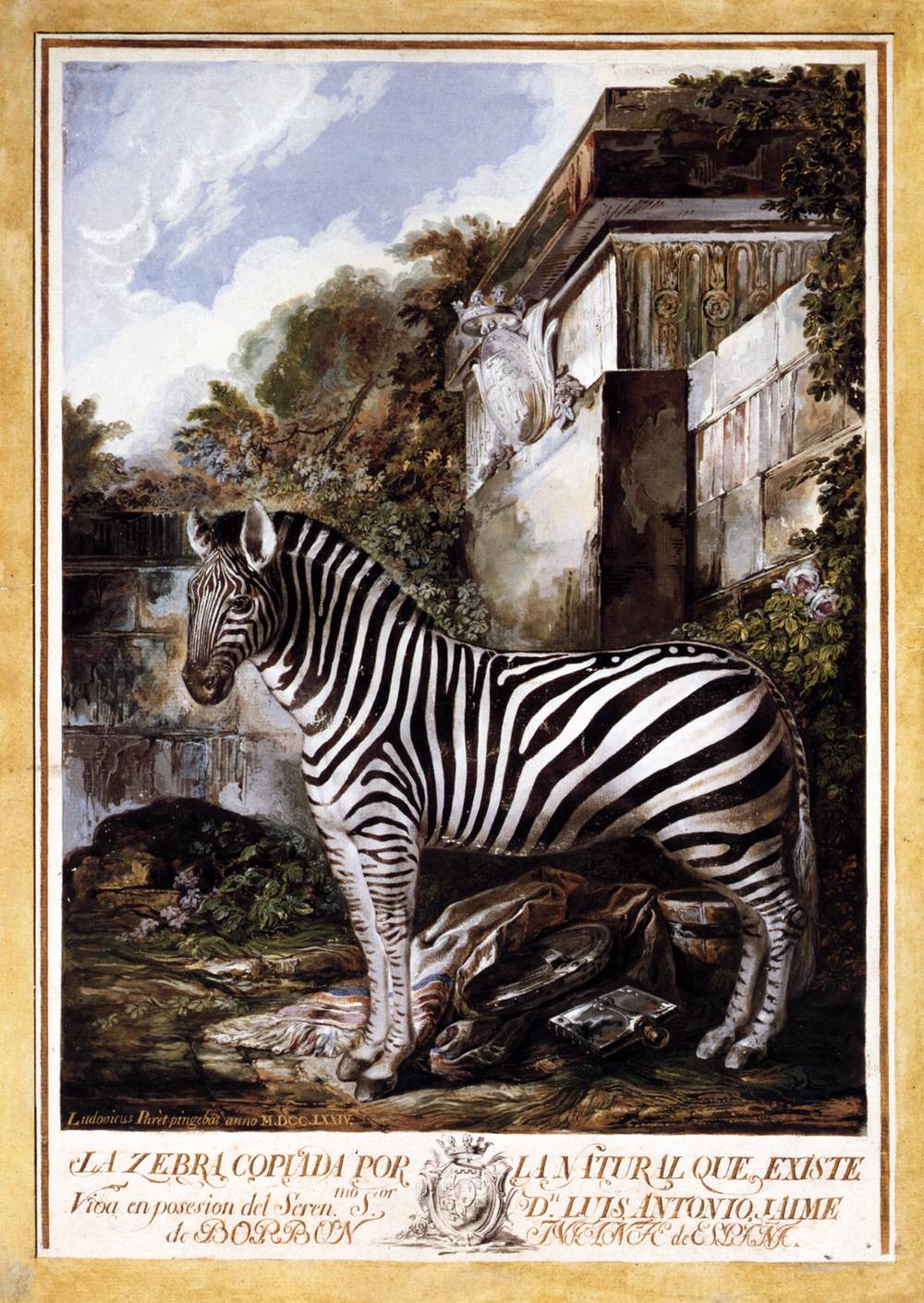 Zebra by